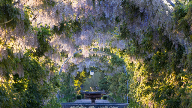RHS Garden Wisley