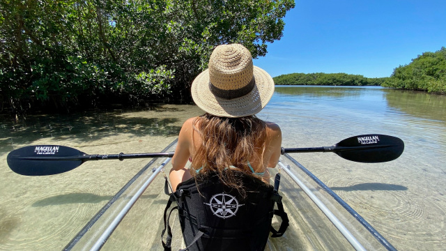 Get Up and Go Kayaking – Tampa Bay