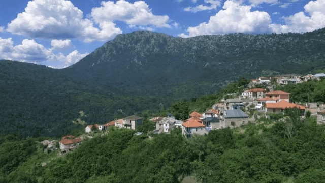 VRONTALIDA