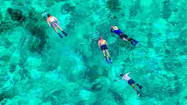 Wild Lime Adventures